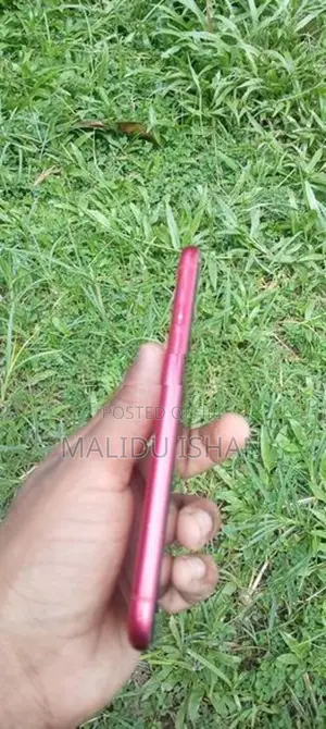 Apple iPhone 11 (Used)