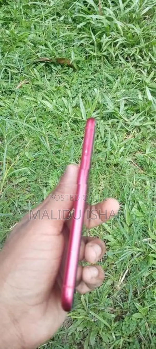 Apple iPhone 11 (Used)