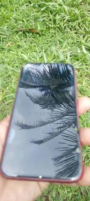 Apple iPhone 11 (Used)