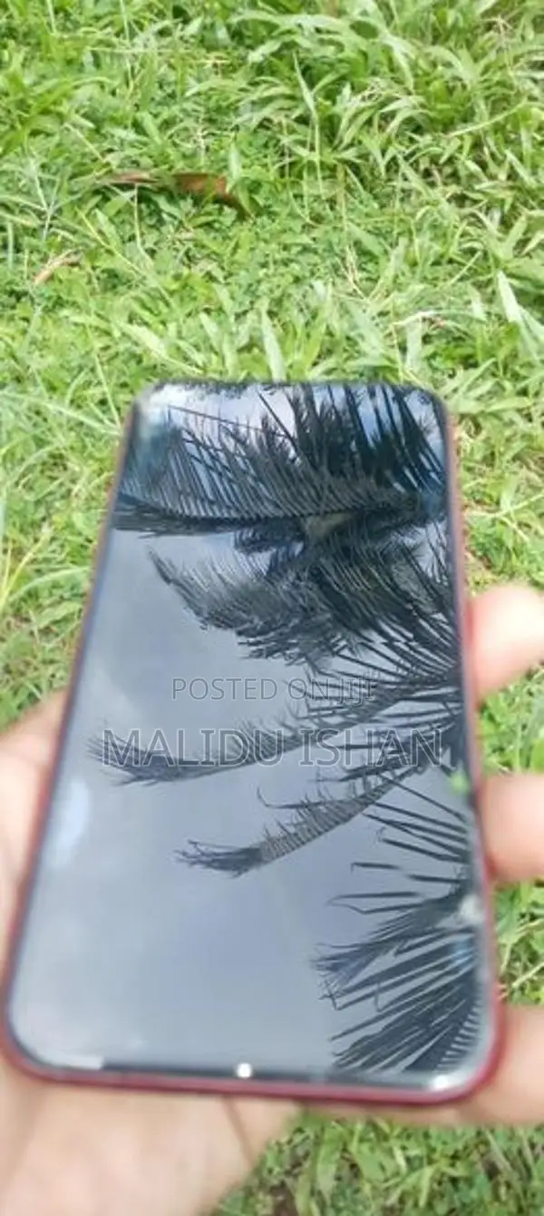 Apple iPhone 11 (Used)