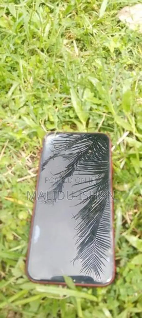 Apple iPhone 11 (Used)