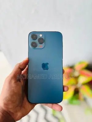 Apple iPhone 12 Pro Max (Used)