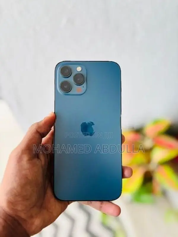 Apple iPhone 12 Pro Max (Used)