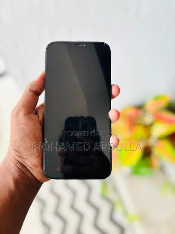 Apple iPhone 12 Pro Max (Used)