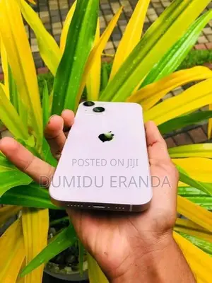 Apple iPhone 13 (Used)