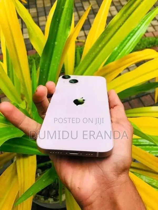 Apple iPhone 13 (Used)