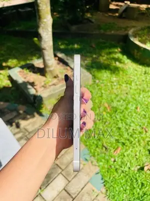 Apple iPhone 13 128GB (Used)
