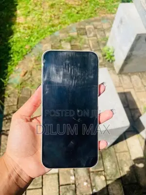 Apple iPhone 13 128GB (Used)