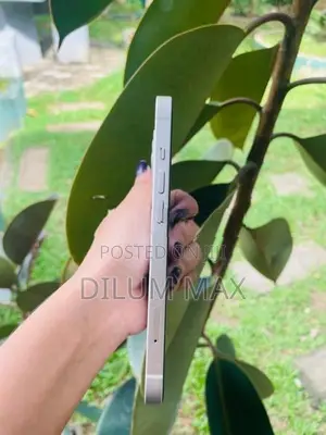 Apple iPhone 13 128GB (Used)