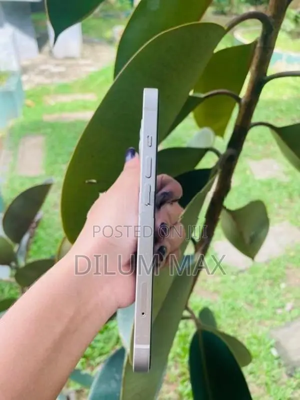Apple iPhone 13 128GB (Used)