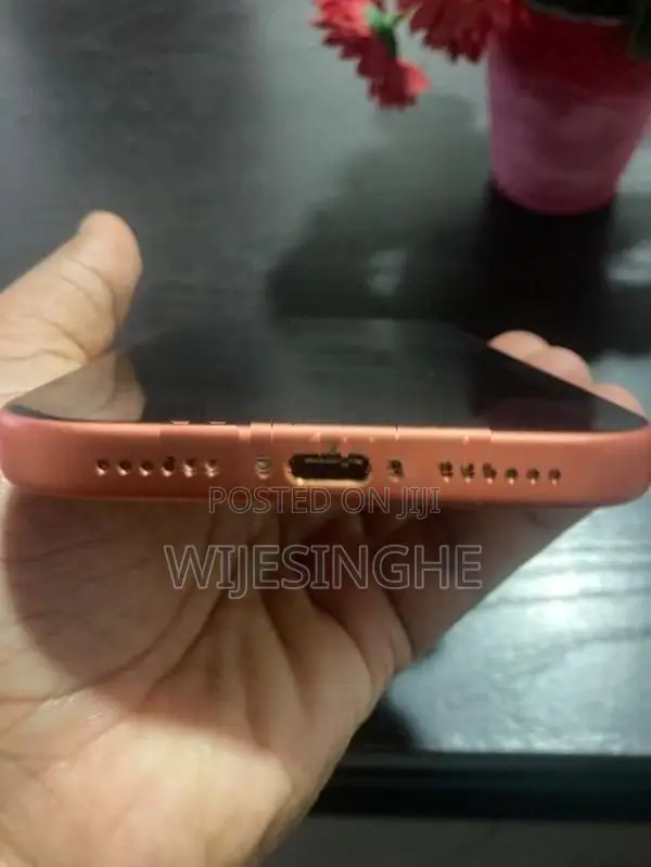 Apple iPhone 17 Pro Max (Used)
