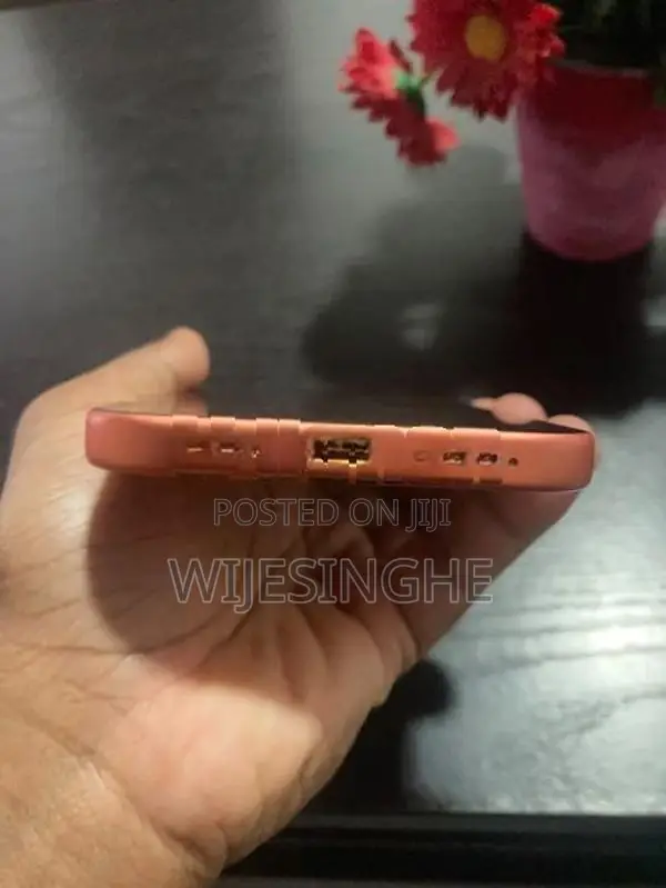 Apple iPhone 17 Pro Max (Used)