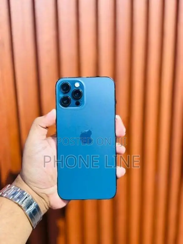 Apple iPhone 12 Pro Max (Used)