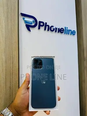 Apple iPhone 12 Pro Max (Used)