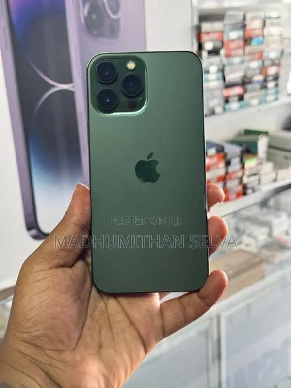 Apple iPhone 13 Pro Max 256GB (Used)