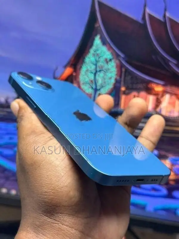 Apple iPhone 13 (Used)