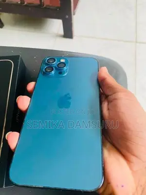 Apple iPhone 12 Pro Max (Used)
