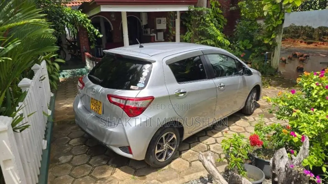 Toyota Vitz 2019 Car (Used)