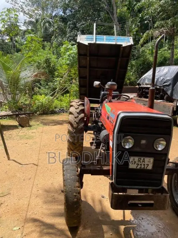 TAFE 45Di 2007 Tractor (Used)