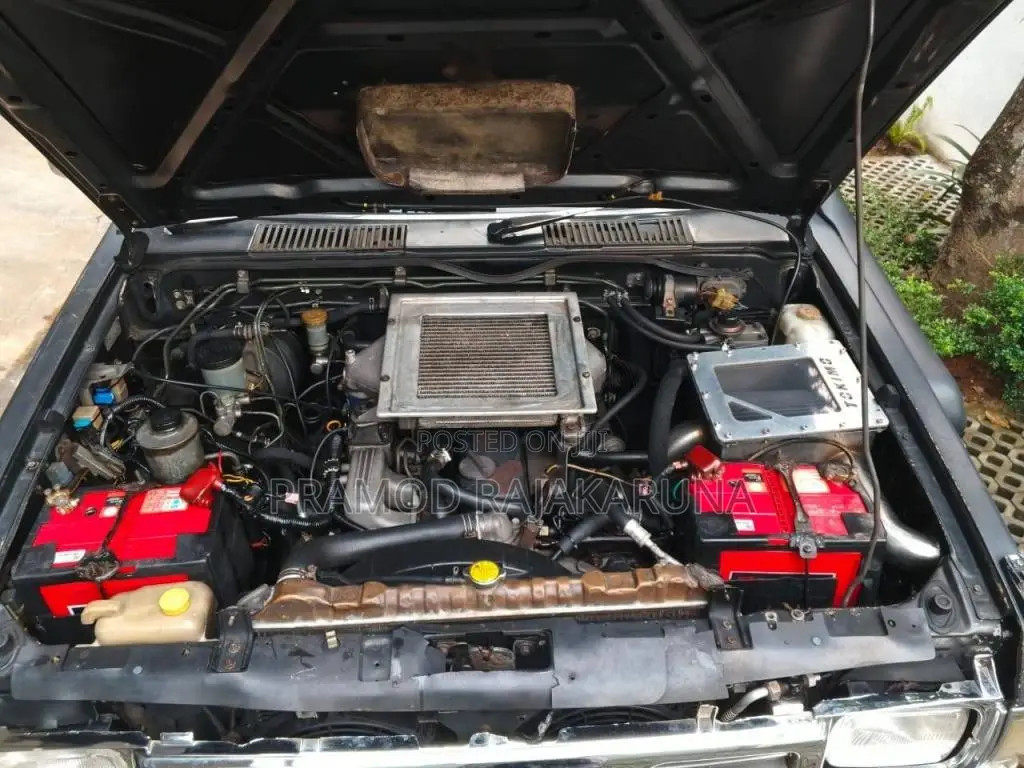 Nissan D21 1995 Pickup (Used)