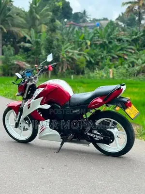 Yamaha Fz 2013 Motorbike (Used)