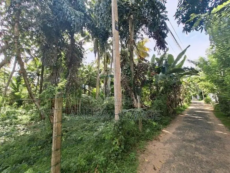 Hikkaduwa Land for Sale in Tourism Zone Hikkaduwa. (ID : HKKD001)