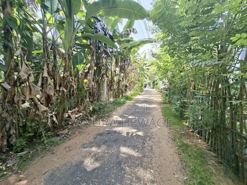 Hikkaduwa Land for Sale in Tourism Zone Hikkaduwa. (ID : HKKD001)