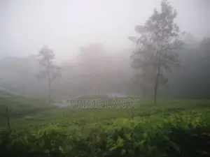 View Point Land for Sale Gampola