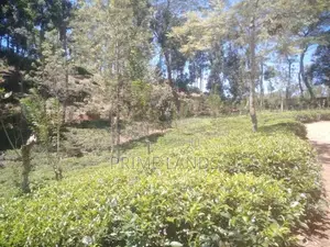View Point Land for Sale Gampola
