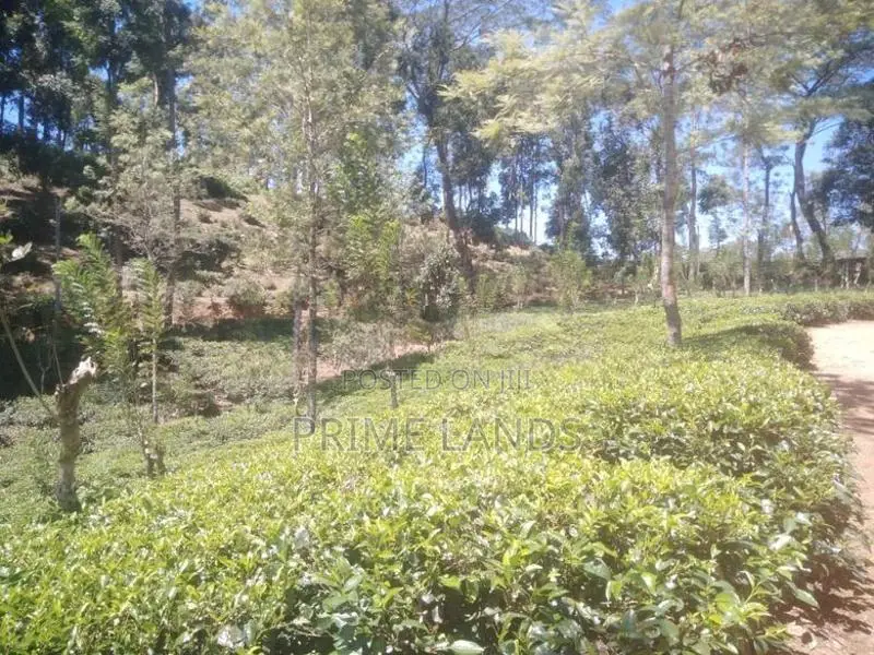 View Point Land for Sale Gampola