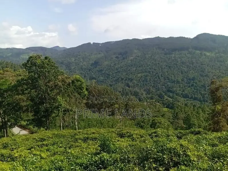 View Point Land for Sale Kandy