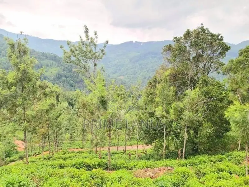View Point Land for Sale Kandy