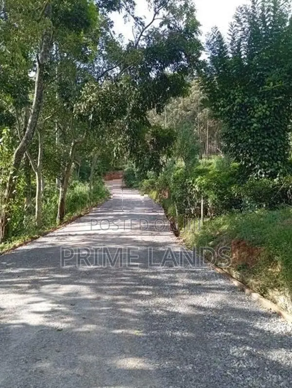 View Point Land for Sale Kandy