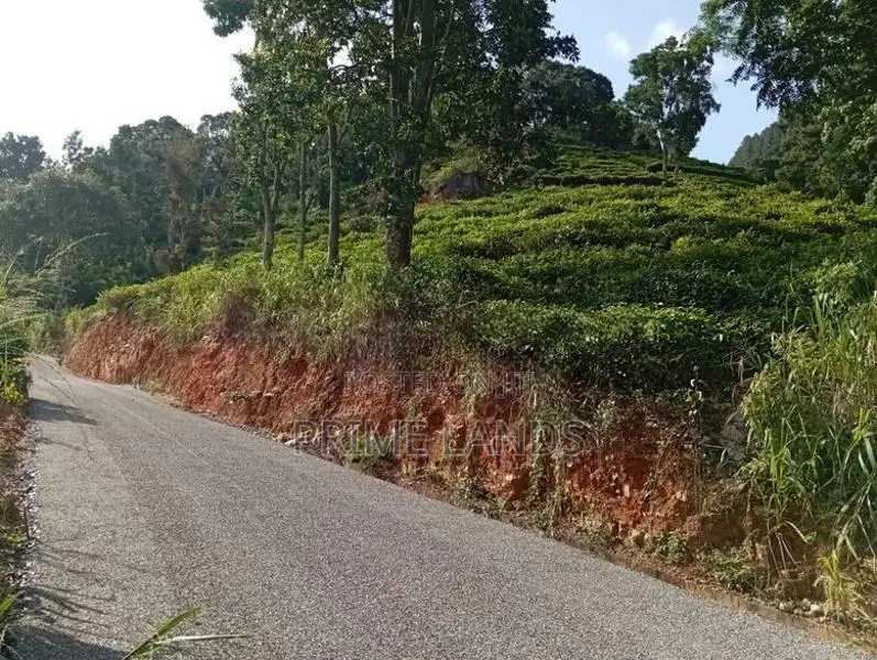 Land for Sale Kandy