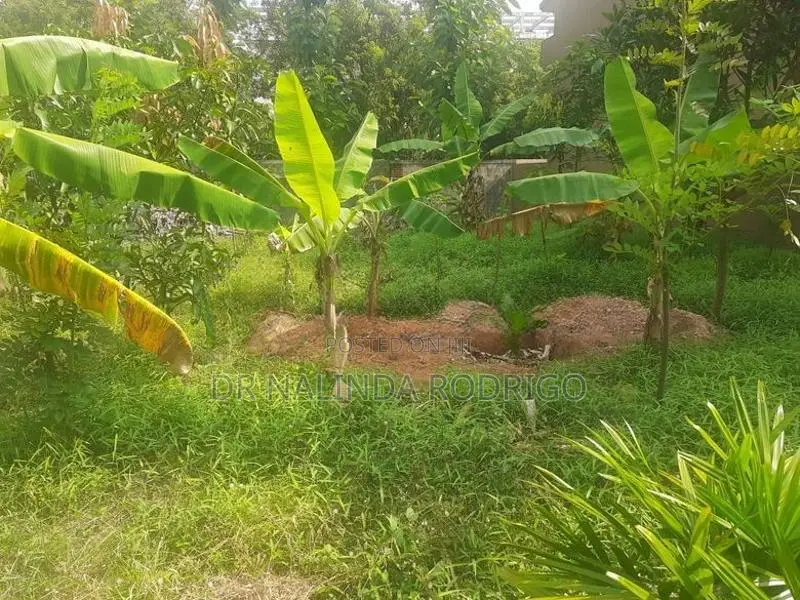 Residential Lands For Sale In Battaramulla