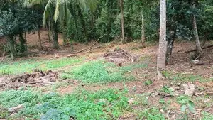 Land For Sale In Thalawathugoda Pannipitiya