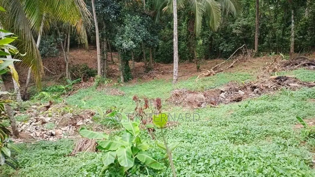 Land For Sale In Thalawathugoda Pannipitiya