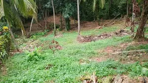 Land For Sale In Thalawathugoda Pannipitiya