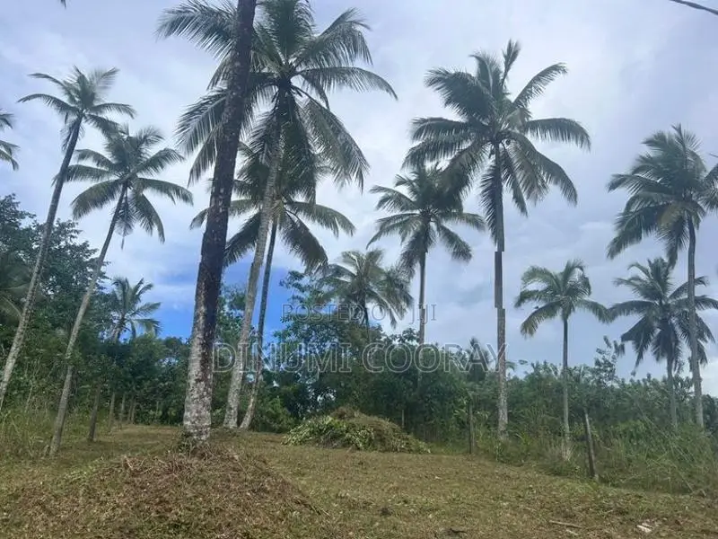 Homagama Land For Sale