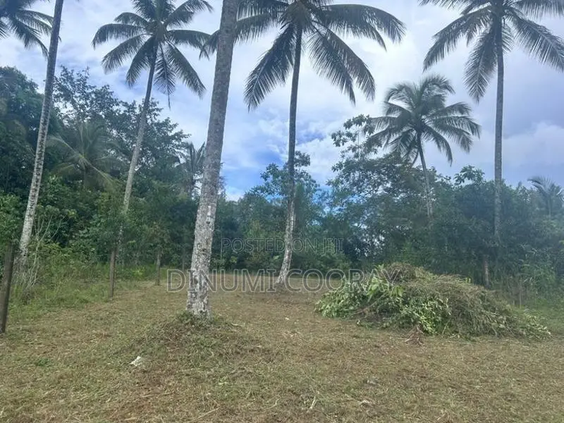 Homagama Land For Sale