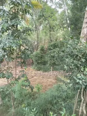 Land for Sale – Kongahamula in Menikhinna