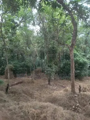 Land for Sale – Kongahamula in Menikhinna