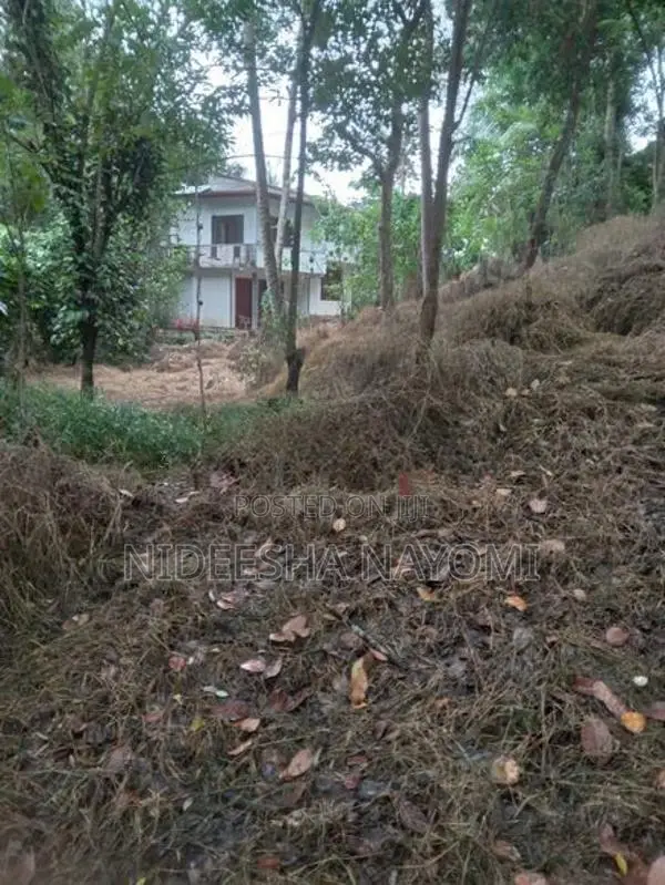 Land for Sale – Kongahamula in Menikhinna