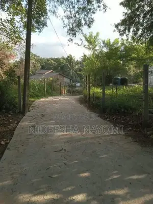 Land for Sale – Kongahamula in Menikhinna