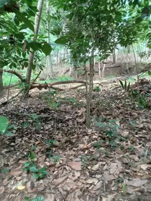 Land for Sale – Kongahamula in Menikhinna