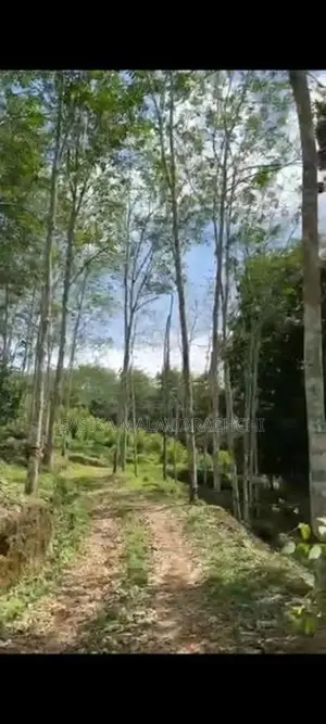 Land For Sale In Kahawatta