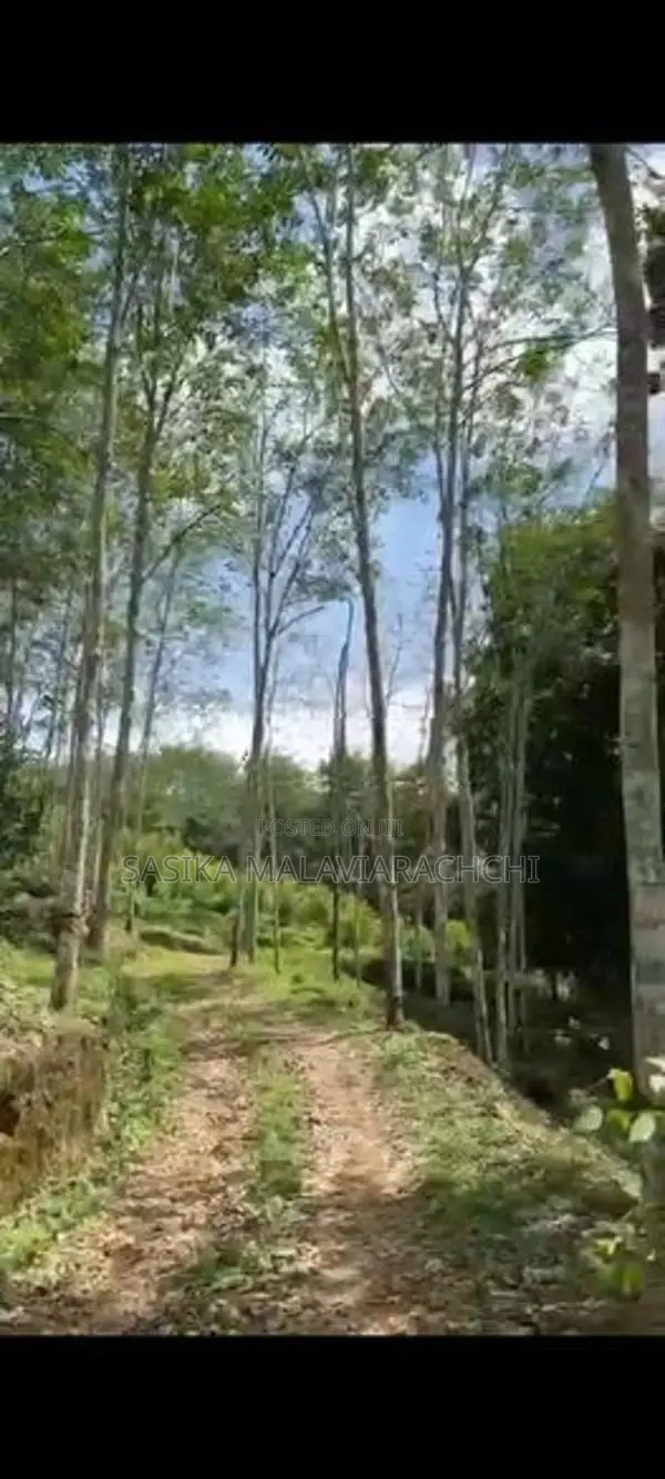 Land For Sale In Kahawatta