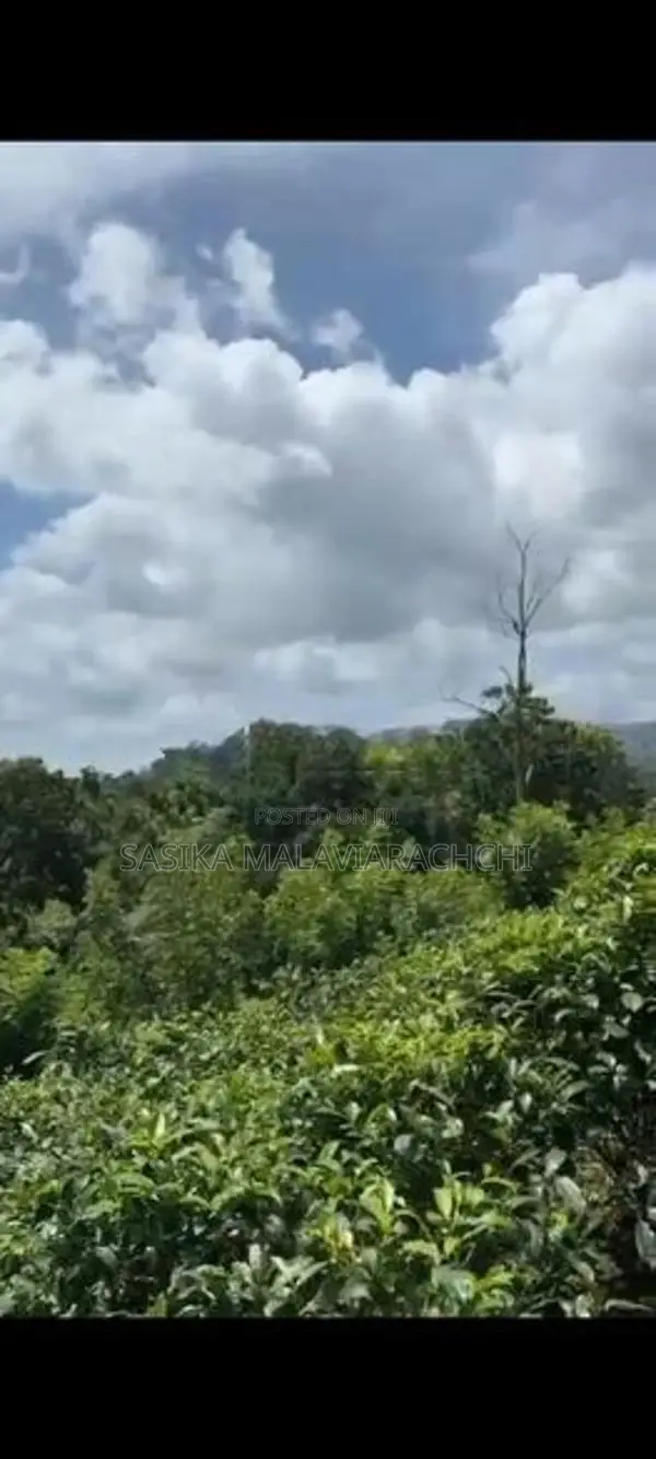Land For Sale In Kahawatta