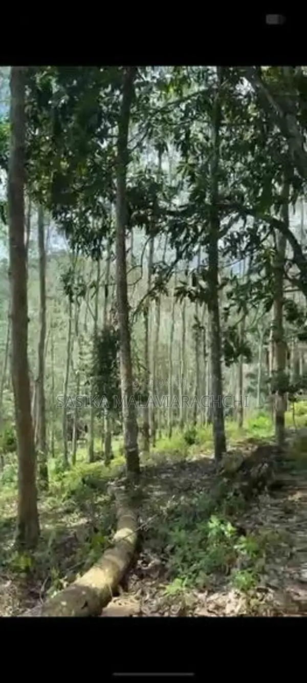 Land For Sale In Kahawatta