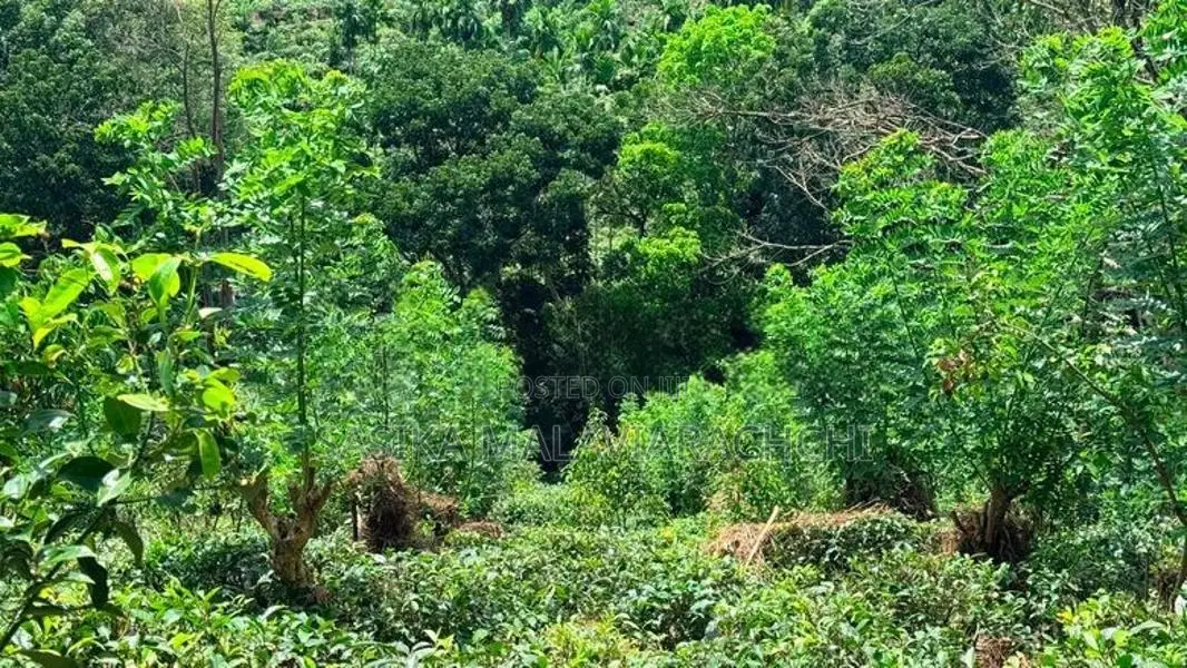 Land For Sale In Kahawatta